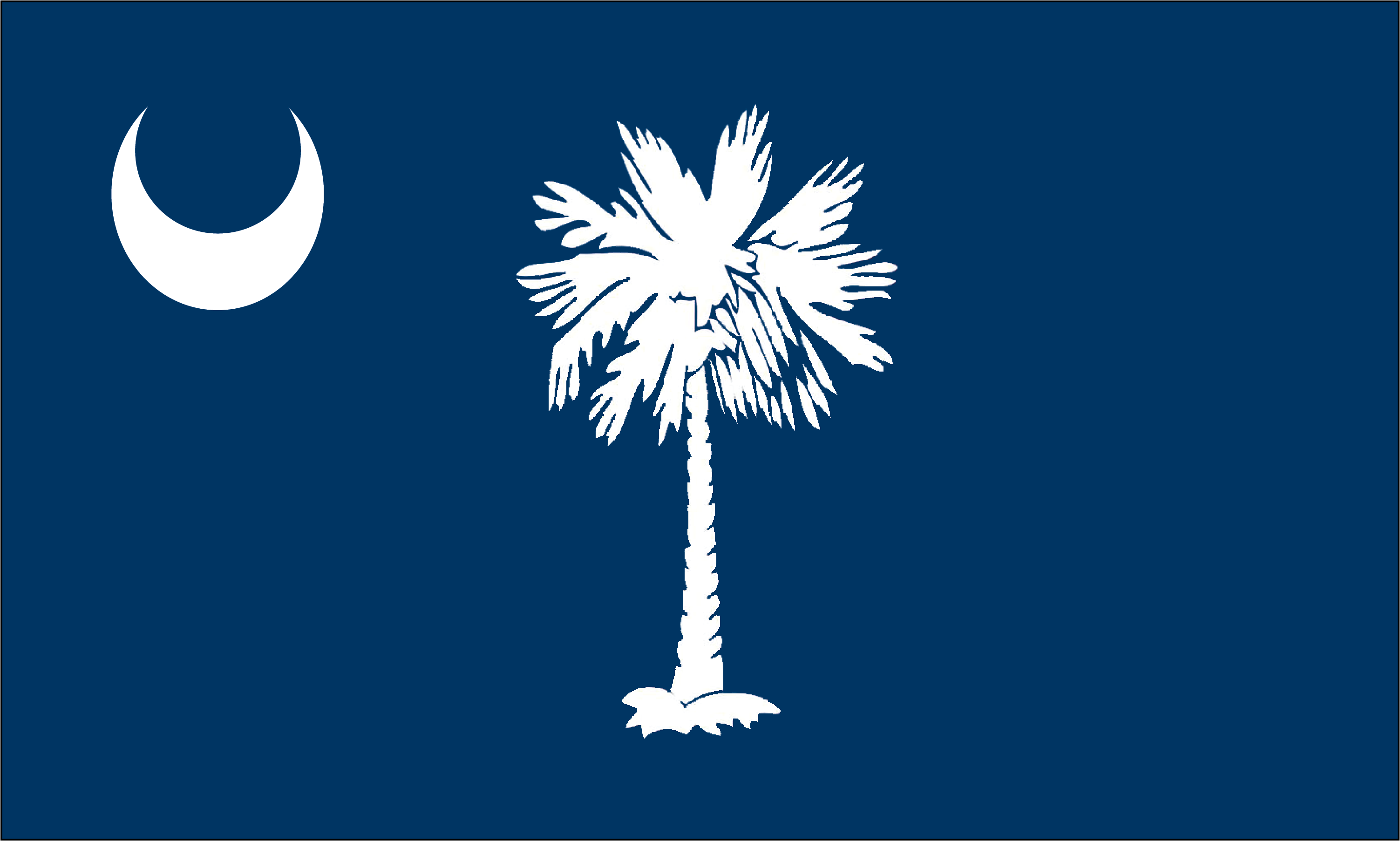 SC State Flag 2023-04-27 – Horry County Historical Society